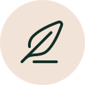 Diseño Shopify
